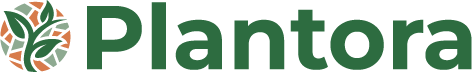 Logo-color.png